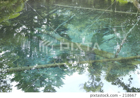 神子池 池塘 鹹水湖 218667