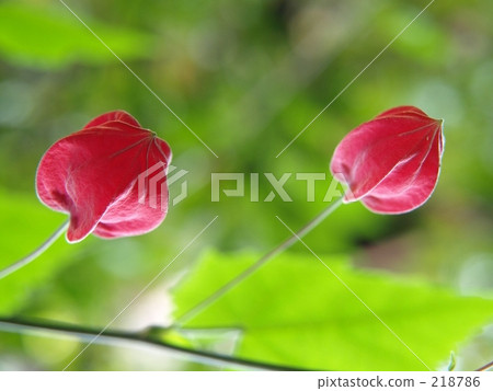 Tyrolean lamp 218786