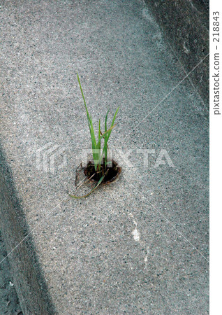 管道 管子 天 218843