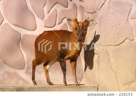 Kyon的全貌 220153