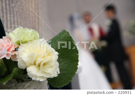 Wedding Wedding 220931