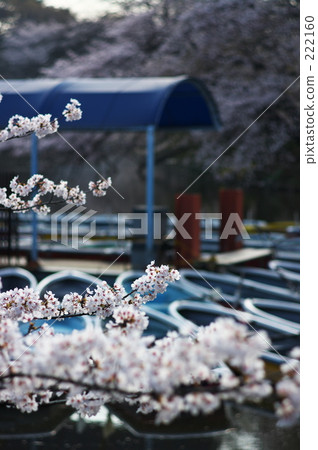 promotion (school), Kichioji, new life 222160