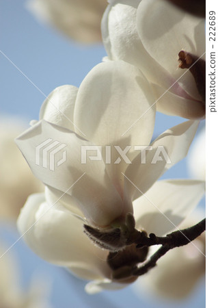 Miscellaneous _001 222689