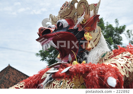 indonesia, bali, coconut palm 222892