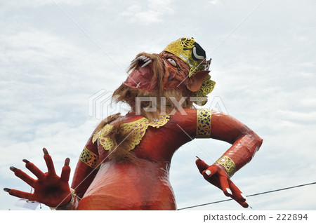 indonesia, bali, coconut palm 222894