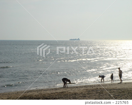 日本海 225765