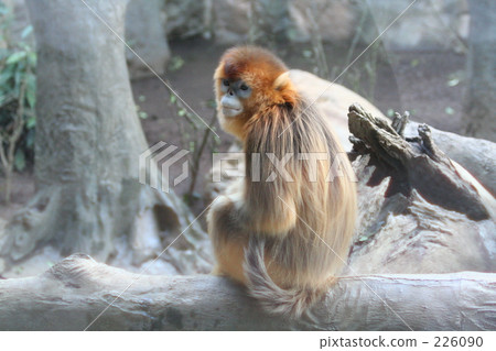 A couple who turned around 226090