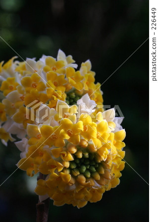 底圖 背景 背景圖 226449