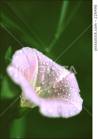 天氣下雨 天氣下雨 226498