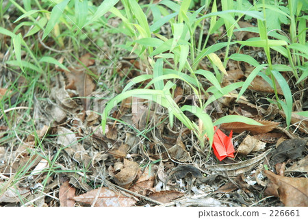 我完成了千紙鶴的角色 226661