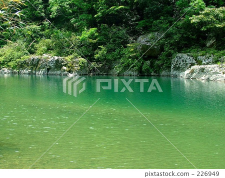 鮮綠色的高ug川 226949