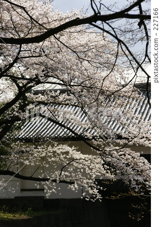 tayasumon, chidorigafuchi, nippon 227166