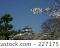 姬路城和櫻花 227175
