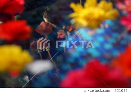 Red Flower, bright, cheerful 231085