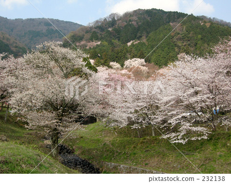 tine, light blue, scape 232138