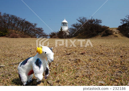 Tomogashima Lighthouse and Cow's Angus Tomogashima Lighthouse and Cow's Angus 232186