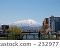 Iwateyama 232977