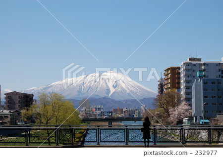 Iwateyama 232977