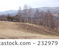 Landscape with Sharp 232979