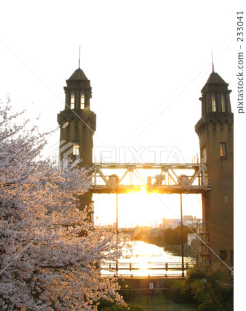 Cherry blossoms with a fish gate and sun at dusk Cherry blossoms with a fish gate and sun at dusk 233041