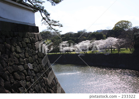 Ishigaki and dry moat 233322
