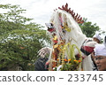 indonesia, bali, coconut palm 233745