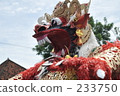 indonesia, bali, coconut palm 233750