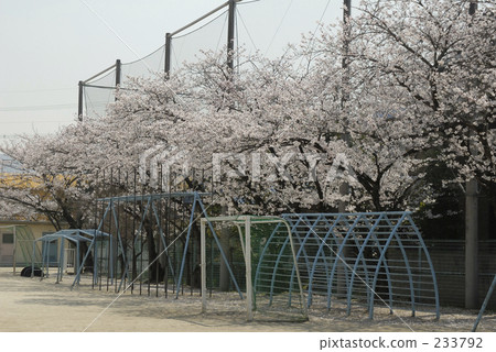 nippon, female, females 233792