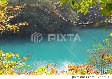 五色沼 福島 鹹水湖 234604