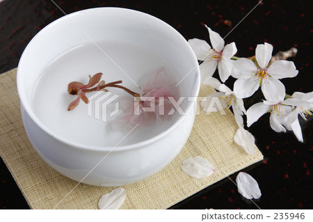 櫻花茶Ⅲ 235946