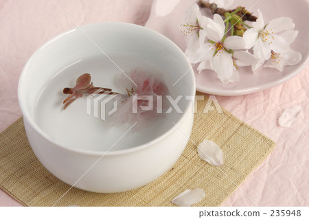 櫻花茶我 櫻花茶我 235948