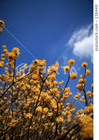 In the blue sky ... 236449