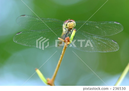 孤獨 山形縣 侘 236530