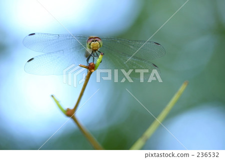孤獨 山形縣 侘 236532