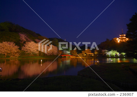 點燈 夜景 燈海 236907