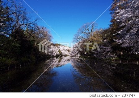 promotion (school), Kichioji, new life 237747