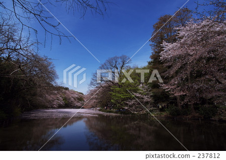Kichioji, promotion (school), new life 237812