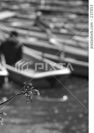 promotion (school), Kichioji, new life 237853