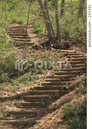 Mountain road 241381