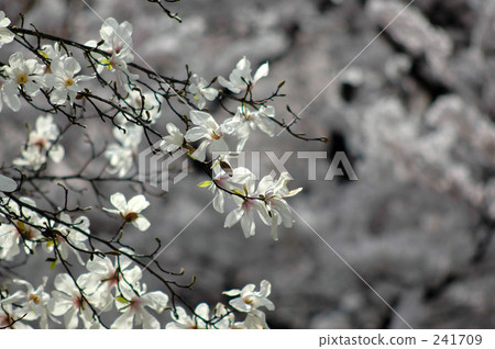 landscape, scape, scene 241709