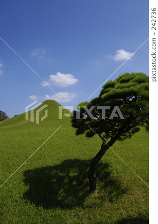 suizenjijoujuen, landscaping, roomy 242736