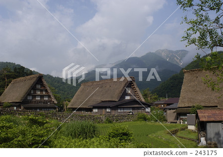 having a steep thatched rafter roof, house with a steep rafter roof, shirakawa-go 243175