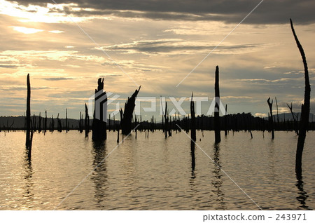 第二屆大賽 老撾 亞洲 243971