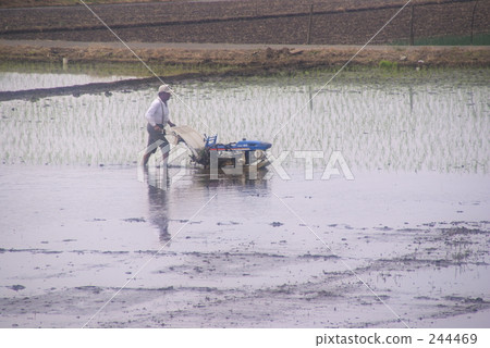 下種 播種 琦玉縣 244469