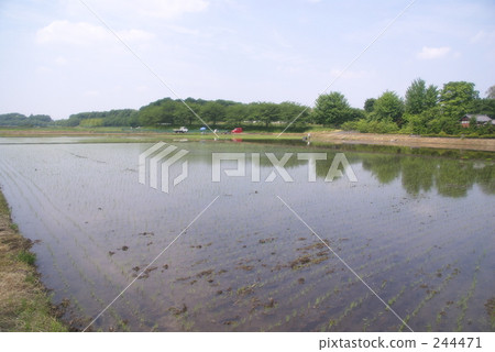 埼玉市 稻田 琦玉縣 244471