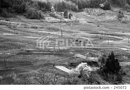 奧多摩·坦巴山村昭和47年 245072