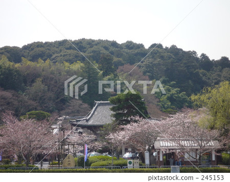 石頭的山 神殿 寺院 245153