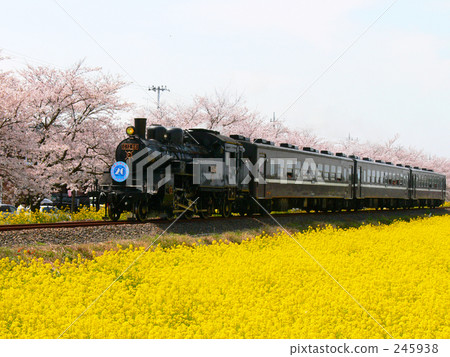 On the SL On the SL 245938