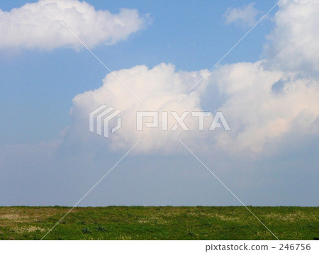 Horizon and blue sky (Yoko) 246756