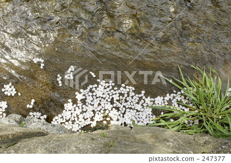 material, materials, water surface 247377